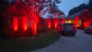 Hampton NY Uplighting